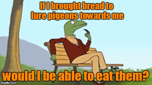 If I brought bread to lure pigeons towards me would I be able to eat them? | made w/ Imgflip meme maker