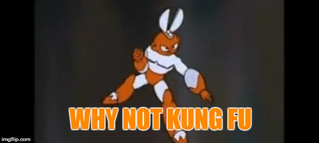 WHY NOT KUNG FU | made w/ Imgflip meme maker