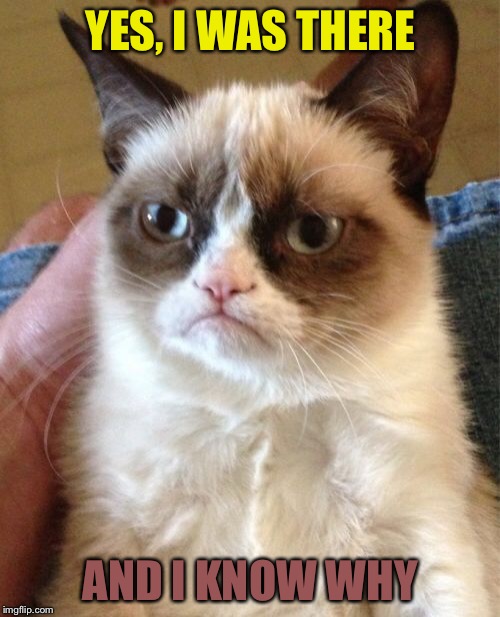 Grumpy Cat Meme | YES, I WAS THERE AND I KNOW WHY | image tagged in memes,grumpy cat | made w/ Imgflip meme maker