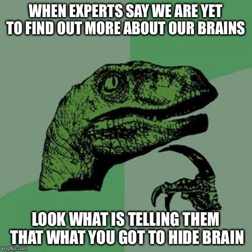 Philosoraptor | WHEN EXPERTS SAY WE ARE YET TO FIND OUT MORE ABOUT OUR BRAINS; LOOK WHAT IS TELLING THEM THAT WHAT YOU GOT TO HIDE BRAIN | image tagged in memes,philosoraptor | made w/ Imgflip meme maker