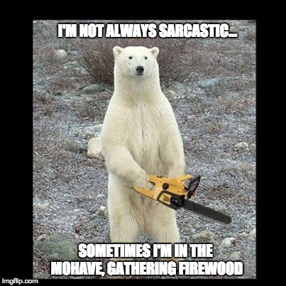 Chainsaw Bear Meme | I'M NOT ALWAYS SARCASTIC... SOMETIMES I'M IN THE MOHAVE, GATHERING FIREWOOD | image tagged in memes,chainsaw bear | made w/ Imgflip meme maker