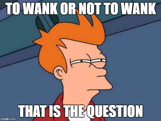 Futurama Fry | TO WANK OR NOT TO WANK; THAT IS THE QUESTION | image tagged in memes,futurama fry | made w/ Imgflip meme maker