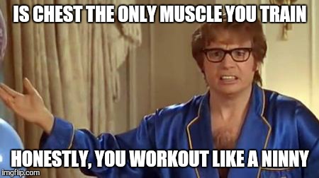 Austin Powers Honestly | IS CHEST THE ONLY MUSCLE YOU TRAIN; HONESTLY, YOU WORKOUT LIKE A NINNY | image tagged in memes,austin powers honestly | made w/ Imgflip meme maker