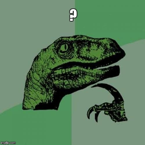Philosoraptor | ? | image tagged in memes,philosoraptor | made w/ Imgflip meme maker