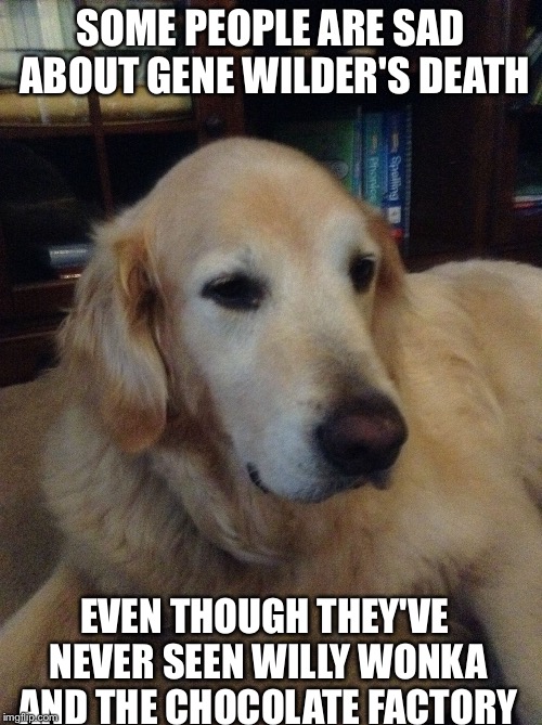 Overly critical dog | SOME PEOPLE ARE SAD ABOUT GENE WILDER'S DEATH; EVEN THOUGH THEY'VE NEVER SEEN WILLY WONKA AND THE CHOCOLATE FACTORY | image tagged in overly critical dog | made w/ Imgflip meme maker