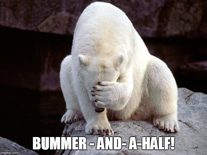 BUMMER - AND- A-HALF! | made w/ Imgflip meme maker