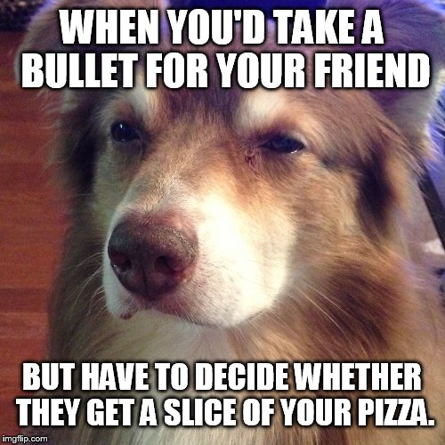 Unsure Dog | WHEN YOU'D TAKE A BULLET FOR YOUR FRIEND; BUT HAVE TO DECIDE WHETHER THEY GET A SLICE OF YOUR PIZZA. | image tagged in unsure dog | made w/ Imgflip meme maker