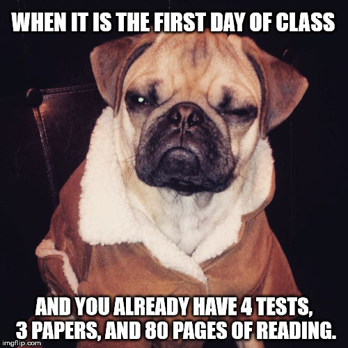 College Life | WHEN IT IS THE FIRST DAY OF CLASS; AND YOU ALREADY HAVE 4 TESTS, 3 PAPERS, AND 80 PAGES OF READING. | image tagged in memes,pugs,school,first day of school,homework,lazy college senior | made w/ Imgflip meme maker