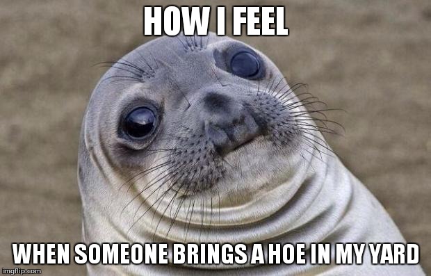Does that belong out there? | HOW I FEEL; WHEN SOMEONE BRINGS A HOE IN MY YARD | image tagged in memes,awkward moment sealion | made w/ Imgflip meme maker