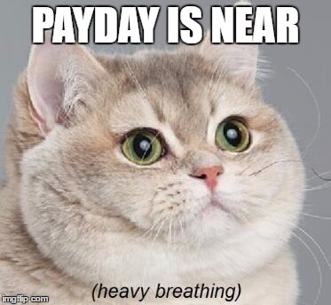 Money Money Money | PAYDAY IS NEAR | image tagged in memes,heavy breathing cat,cats | made w/ Imgflip meme maker