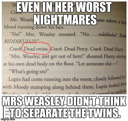 Why do I do this? | EVEN IN HER WORST NIGHTMARES; MRS WEASLEY DIDN'T THINK TO SEPARATE THE TWINS. | image tagged in feels,harrypotter,twins,jkrowlingisactualllyevil | made w/ Imgflip meme maker