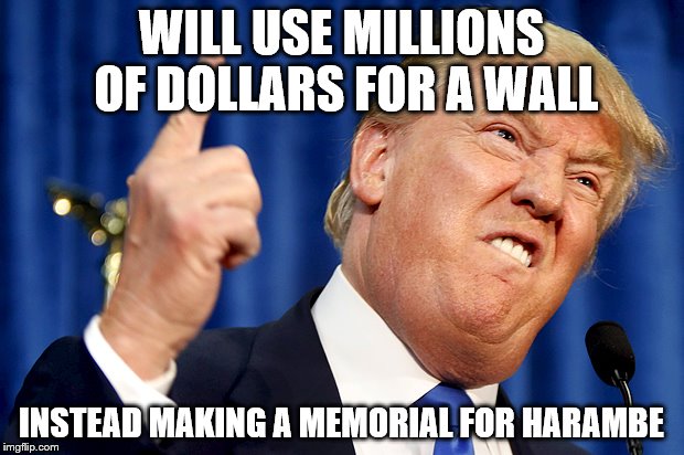 Donald Trump | WILL USE MILLIONS OF DOLLARS FOR A WALL; INSTEAD MAKING A MEMORIAL FOR HARAMBE | image tagged in donald trump | made w/ Imgflip meme maker