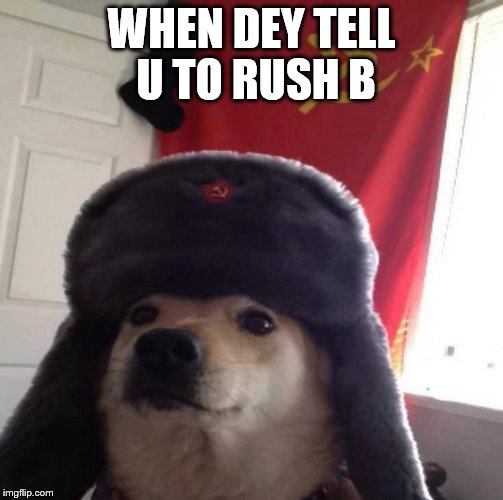 Russian Doge | WHEN DEY TELL U TO RUSH B | image tagged in russian doge | made w/ Imgflip meme maker