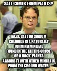 SALT COMES FROM PLANTS? FALSE, SALT OR SODIUM CHLORIDE IS A NATURALLY FORMING MINERAL FOUND IN THE EARTHS CRUST, OR A ROCK. PLANTS ABSORB IT | made w/ Imgflip meme maker