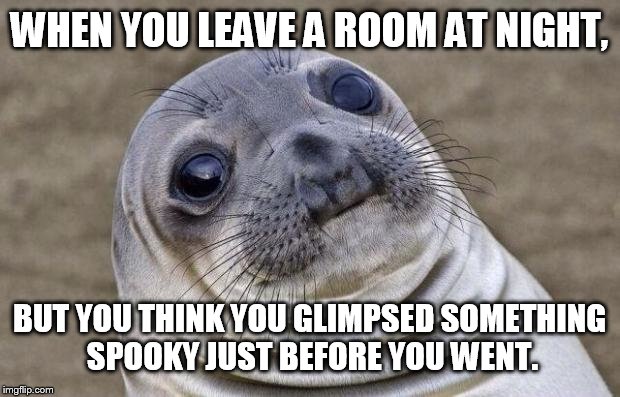 Spooky moment sealion | WHEN YOU LEAVE A ROOM AT NIGHT, BUT YOU THINK YOU GLIMPSED SOMETHING SPOOKY JUST BEFORE YOU WENT. | image tagged in memes,awkward moment sealion,ghost,night,scary | made w/ Imgflip meme maker