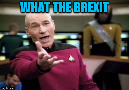 Picard Wtf Meme | WHAT THE BREXIT | image tagged in memes,picard wtf | made w/ Imgflip meme maker