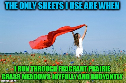 THE ONLY SHEETS I USE ARE WHEN I RUN THROUGH FRAGRANT PRAIRIE GRASS MEADOWS JOYFULLY AND BUOYANTLY | made w/ Imgflip meme maker