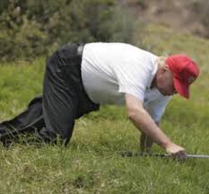 trump fallen can't get up Blank Meme Template