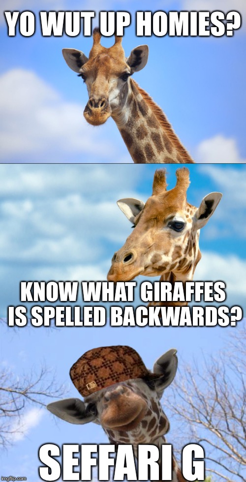 He's Got a Point You Know | YO WUT UP HOMIES? KNOW WHAT GIRAFFES IS SPELLED BACKWARDS? SEFFARI G | image tagged in bad pun giraffe,scumbag,memes | made w/ Imgflip meme maker