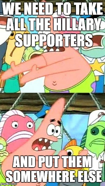 Put It Somewhere Else Patrick | WE NEED TO TAKE ALL THE HILLARY SUPPORTERS; AND PUT THEM SOMEWHERE ELSE | image tagged in memes,put it somewhere else patrick | made w/ Imgflip meme maker