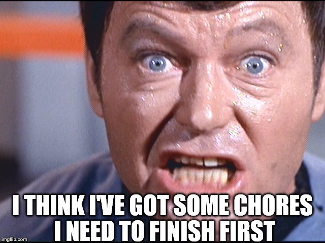 McCoy - Damn It Jim | I THINK I'VE GOT SOME CHORES I NEED TO FINISH FIRST | image tagged in mccoy - damn it jim | made w/ Imgflip meme maker