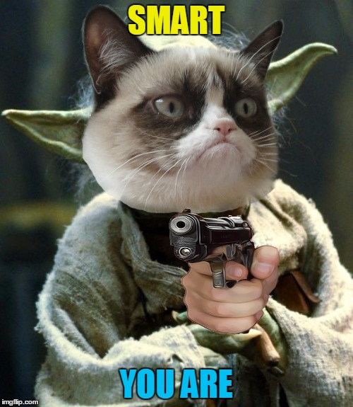 SMART YOU ARE | made w/ Imgflip meme maker