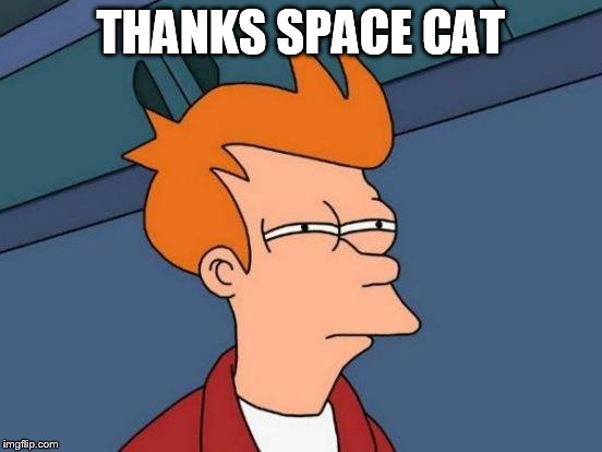 Futurama Fry Meme | THANKS SPACE CAT | image tagged in memes,futurama fry | made w/ Imgflip meme maker