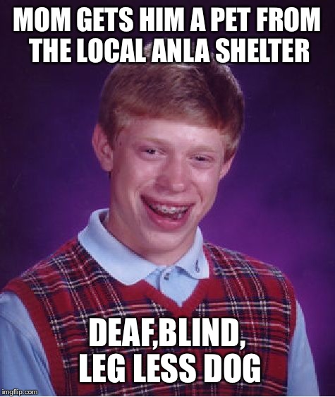 Bad Luck Brian Meme | MOM GETS HIM A PET FROM THE LOCAL ANLA SHELTER DEAF,BLIND, LEG LESS DOG | image tagged in memes,bad luck brian | made w/ Imgflip meme maker