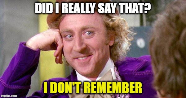 DID I REALLY SAY THAT? I DON'T REMEMBER | made w/ Imgflip meme maker