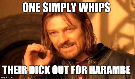 One Does Not Simply Meme | ONE SIMPLY WHIPS; THEIR DICK OUT FOR HARAMBE | image tagged in memes,one does not simply | made w/ Imgflip meme maker