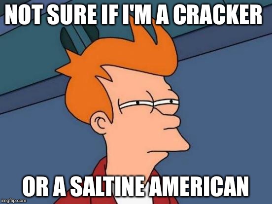 Futurama Fry Meme | NOT SURE IF I'M A CRACKER OR A SALTINE AMERICAN | image tagged in memes,futurama fry | made w/ Imgflip meme maker