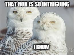  THAT RON IS SO INTRIGUING; I KNOW | image tagged in ron,owls | made w/ Imgflip meme maker