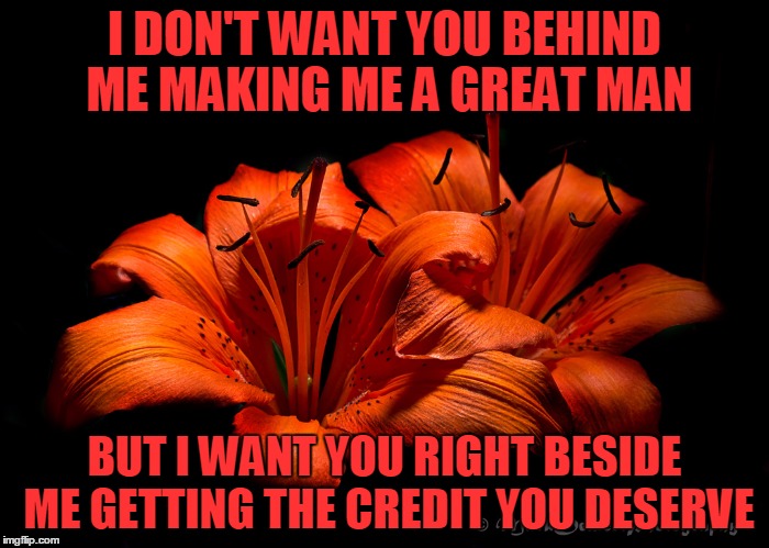 I DON'T WANT YOU BEHIND ME MAKING ME A GREAT MAN; BUT I WANT YOU RIGHT BESIDE ME GETTING THE CREDIT YOU DESERVE | image tagged in tiger lillies | made w/ Imgflip meme maker