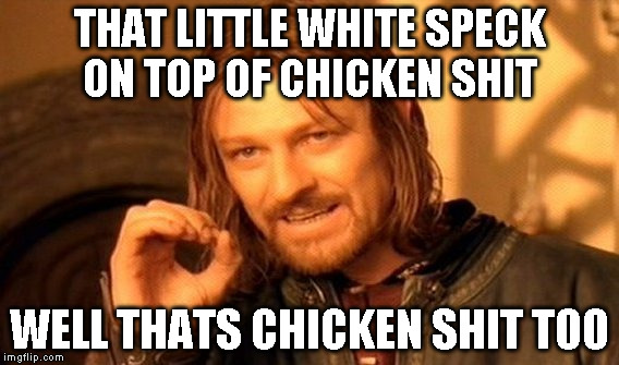 One Does Not Simply Meme | THAT LITTLE WHITE SPECK ON TOP OF CHICKEN SHIT; WELL THATS CHICKEN SHIT TOO | image tagged in memes,one does not simply | made w/ Imgflip meme maker