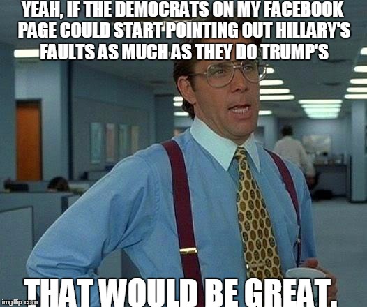 That Would Be Great | YEAH, IF THE DEMOCRATS ON MY FACEBOOK PAGE COULD START POINTING OUT HILLARY'S FAULTS AS MUCH AS THEY DO TRUMP'S; THAT WOULD BE GREAT. | image tagged in memes,that would be great | made w/ Imgflip meme maker