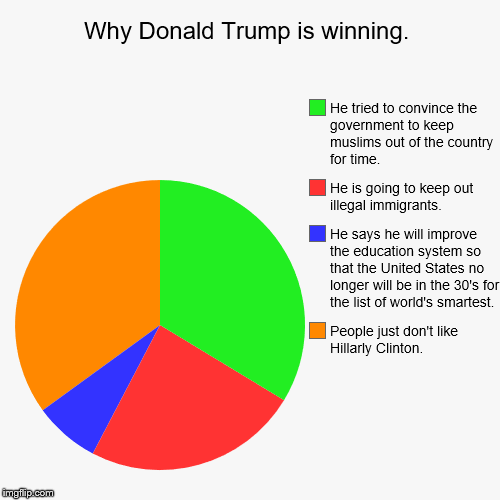 I'm just saying its kind of looks like this but even this is probably beyond accurate. | image tagged in funny,pie charts | made w/ Imgflip chart maker