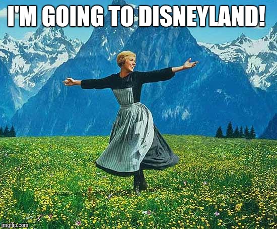 the sound of music | I'M GOING TO DISNEYLAND! | image tagged in the sound of music | made w/ Imgflip meme maker