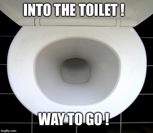 INTO THE TOILET ! WAY TO GO ! | made w/ Imgflip meme maker