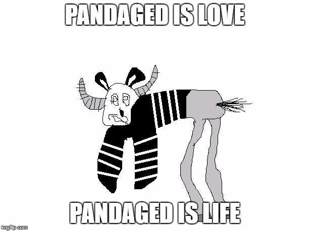 Pandaged | PANDAGED IS LOVE; PANDAGED IS LIFE | image tagged in pandaged | made w/ Imgflip meme maker