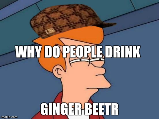 Futurama Fry | WHY DO PEOPLE DRINK; GINGER BEETR | image tagged in memes,futurama fry,scumbag | made w/ Imgflip meme maker