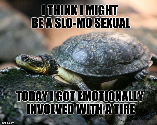 We might be moving a little too fast | I THINK I MIGHT BE A SLO-MO SEXUAL; TODAY I GOT EMOTIONALLY INVOLVED WITH A TIRE | image tagged in memes,turtle | made w/ Imgflip meme maker