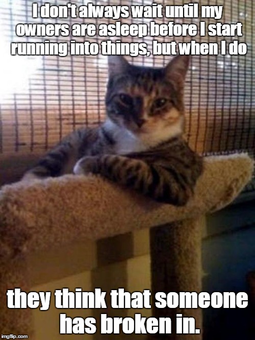 The Most Interesting Cat In The World | I don't always wait until my owners are asleep before I start running into things, but when I do; they think that someone has broken in. | image tagged in memes,the most interesting cat in the world | made w/ Imgflip meme maker
