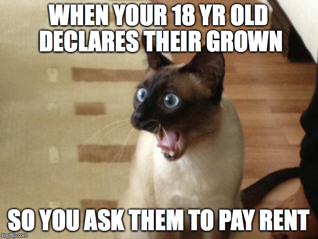 surprised kitty | WHEN YOUR 18 YR OLD DECLARES THEIR GROWN; SO YOU ASK THEM TO PAY RENT | image tagged in surprised kitty | made w/ Imgflip meme maker