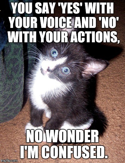 YOU SAY 'YES' WITH YOUR VOICE AND 'NO' WITH YOUR ACTIONS, NO WONDER I'M CONFUSED. | image tagged in confused cat | made w/ Imgflip meme maker