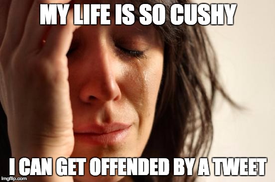 First World Problems | MY LIFE IS SO CUSHY; I CAN GET OFFENDED BY A TWEET | image tagged in memes,first world problems | made w/ Imgflip meme maker