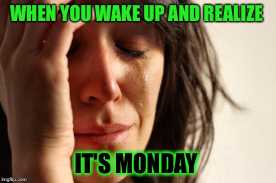 First World Problems | WHEN YOU WAKE UP AND REALIZE; IT'S MONDAY | image tagged in memes,first world problems | made w/ Imgflip meme maker