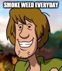 Stoned Shaggy | SMOKE WEED EVERYDAY | image tagged in scooby doo | made w/ Imgflip meme maker