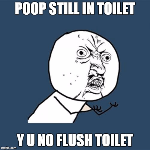 Y U No | POOP STILL IN TOILET; Y U NO FLUSH TOILET | image tagged in memes,y u no | made w/ Imgflip meme maker