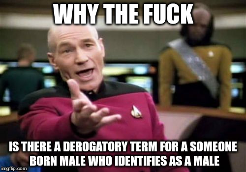 Picard Wtf Meme | WHY THE FUCK; IS THERE A DEROGATORY TERM FOR A SOMEONE BORN MALE WHO IDENTIFIES AS A MALE | image tagged in memes,picard wtf,AdviceAnimals | made w/ Imgflip meme maker