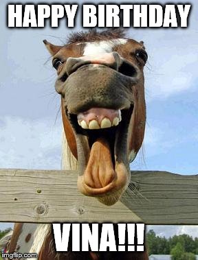 horsesmile | HAPPY BIRTHDAY; VINA!!! | image tagged in horsesmile | made w/ Imgflip meme maker